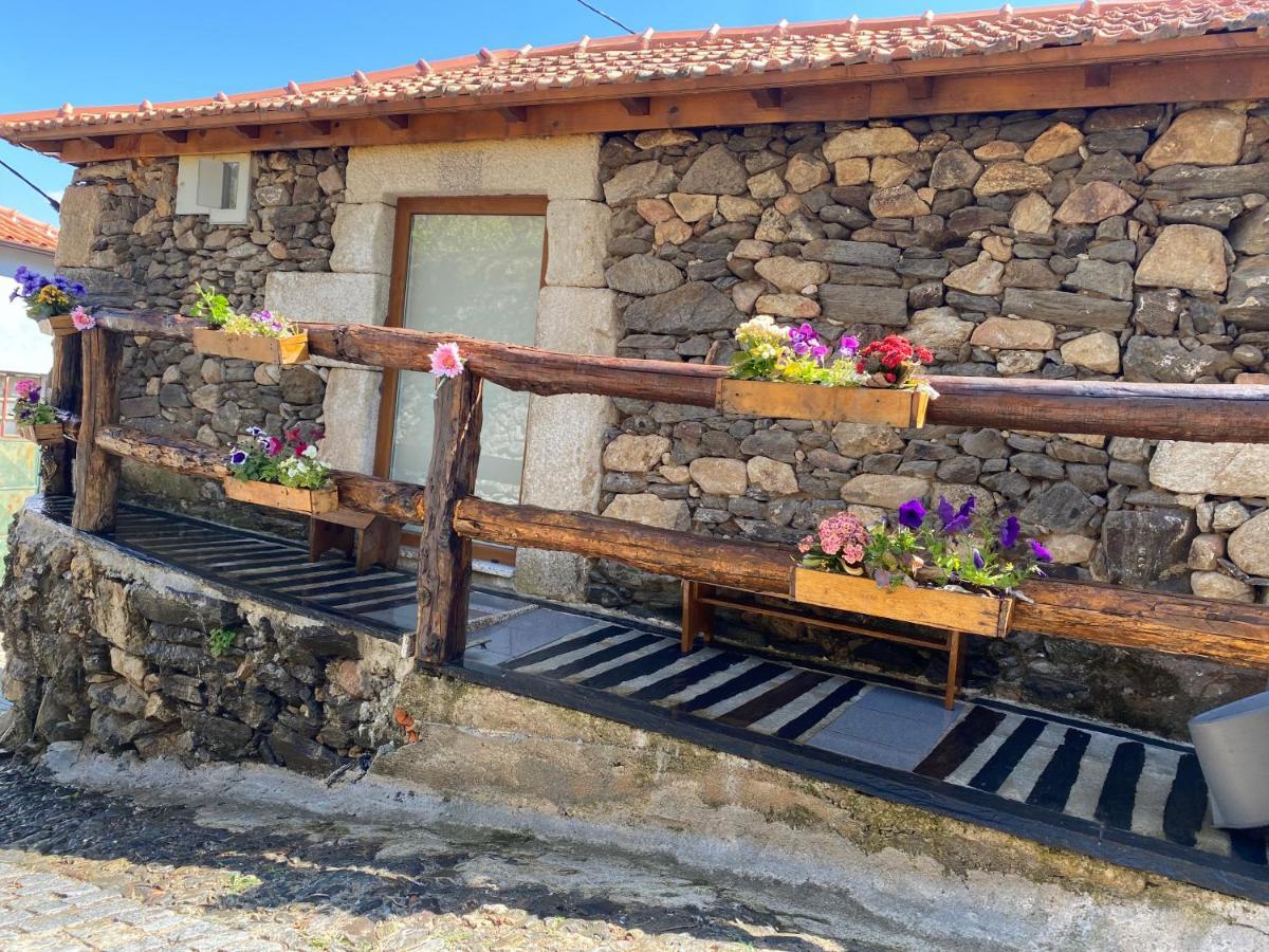 Casa Das Flores Ламегу Екстер'єр фото